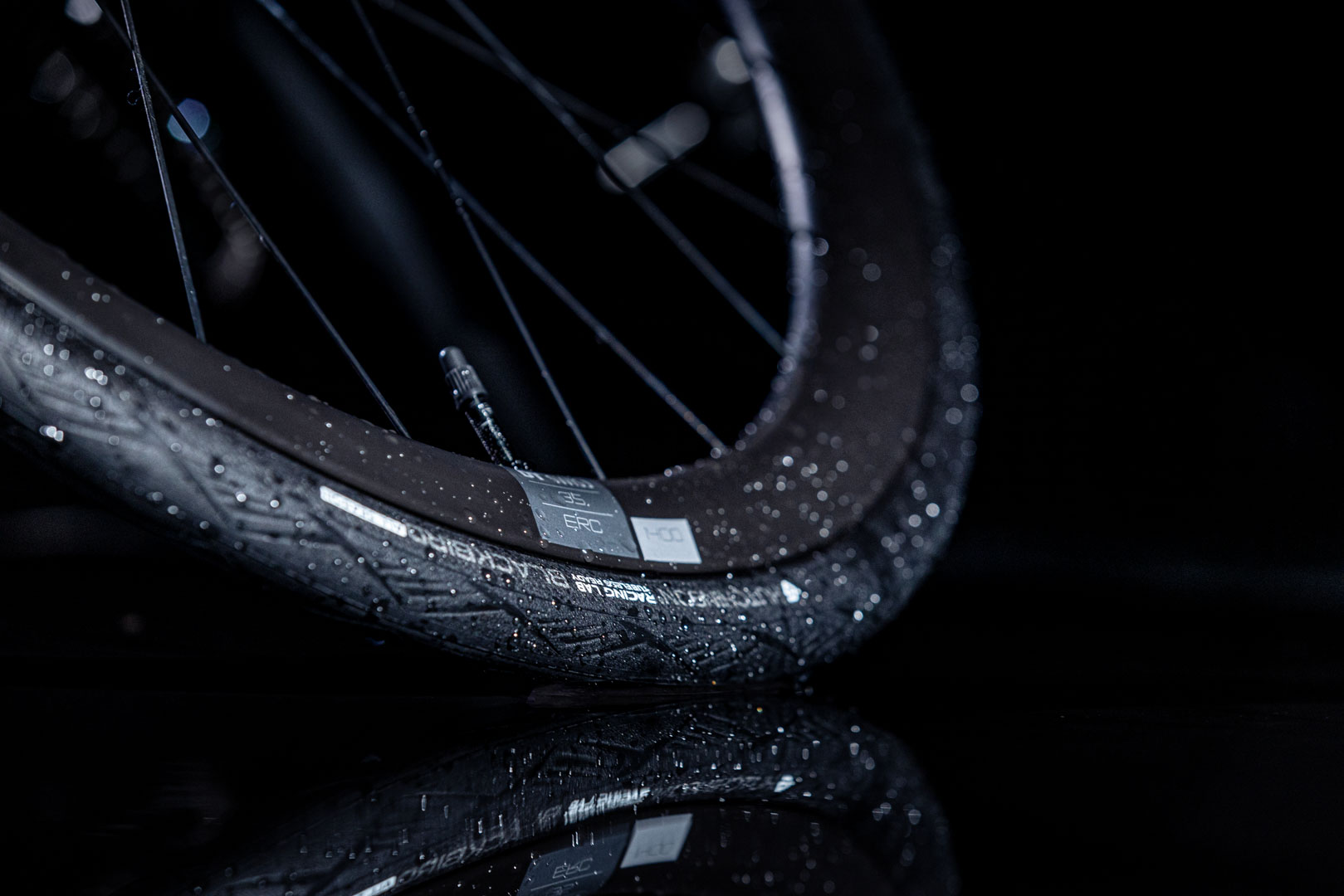 Blackbird All Season in the wet